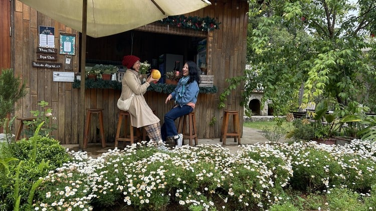 Kỹ năng giao tiếp và chiến lược xử lý khách hàng khó tính