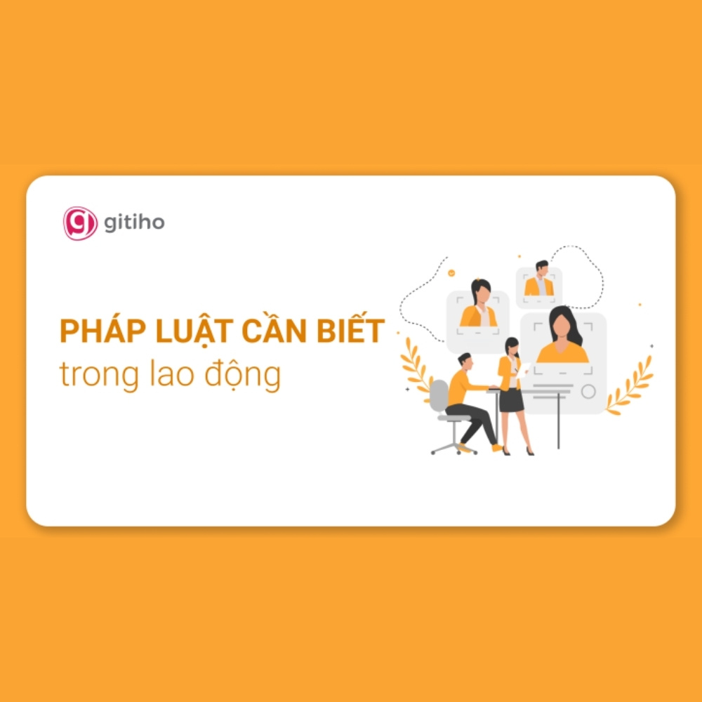 Khoá Học Pháp Luật Lao Động: Làm chủ pháp luật lao động để xây dựng quan hệ lao động bền vững