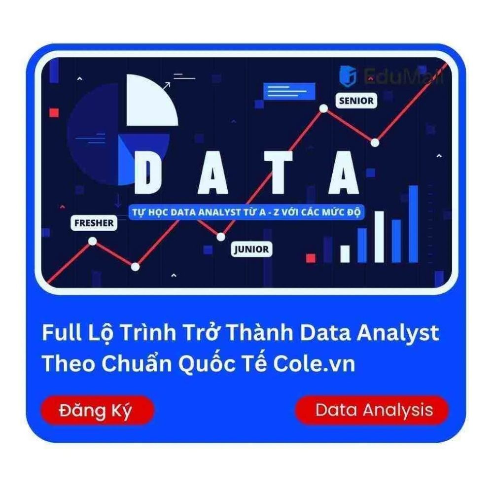 Lộ Trình Trở Thành Data Analyst Theo Chuẩn Quốc Tế Cole.vn